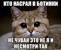 Кто насрал в ботинки Не чувак это не я и несмотри так