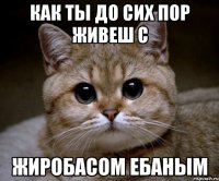 Как ты до сих пор живеш с ЖИРОБАСОМ ЕБАНЫМ