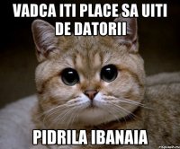 VADCA ITI PLACE SA UITI DE DATORII PIDRILA IBANAIA