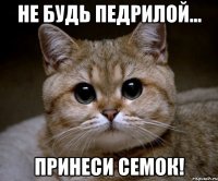 Не будь педрилой... принеси семок!