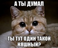 А ты думал Ты тут один такой няшный?