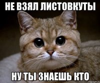 Не взял листовкуты Ну ты знаешь кто