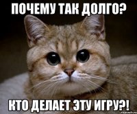 почему так долго? кто делает эту игру?!