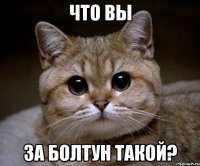 что вы за болтун такой?