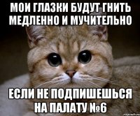 Мои глазки будут гнить медленно и мучительно если не подпишешься на Палату №6