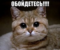 Обойдетесь!!!! 