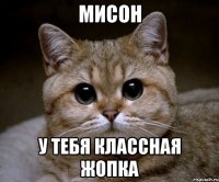 Мисон У тебя классная жопка