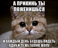 а прикинь ты поженишься и каждый день будешь видеть одну и ту же голую жопу