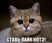  ставь лайк котэ!