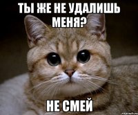 ты же не удалишь меня? не смей