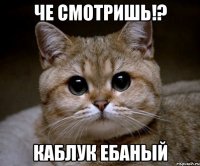 че смотришь!? каблук ебаный