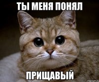 ТЫ менЯ ПОНЯЛ Прищавый