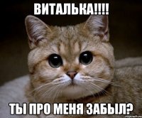 Виталька!!!! Ты про меня забыл?