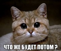  Что же будет потом ?