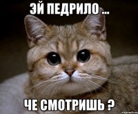 Эй педрило ... Че смотришь ?