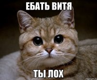 Ебать Витя ты лох