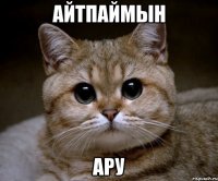 айтпаймын АРУ