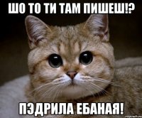 шо то ти там пишеш!? Пэдрила ебаная!