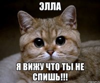 Элла я вижу что ты не спишь!!!