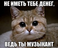 не иметь тебе денег, ведь ты музыкант