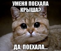 Уменя поехала крыша? Да, поехала...