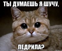 ты думаешь я шучу, педрила?