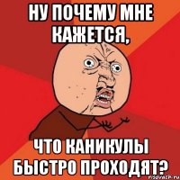 ну почему мне кажется, что каникулы быстро проходят?