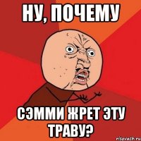 ну, почему сэмми жрет эту траву?