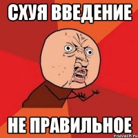 схуя введение не правильное