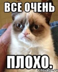 все очень плохо.