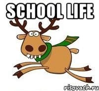 School life 