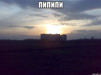 пипипи 