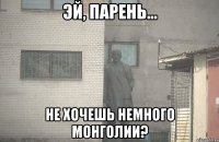 эй, парень... не хочешь немного монголии?