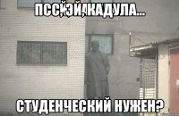 ПСС, эй, Кадула... студенческий нужен?