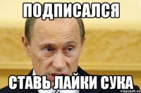 подписался ставь лайки сука