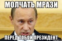 молчать мрази перед тобой президент