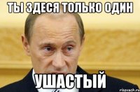 ты здеся только один ушастый