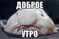 Доброе Утро