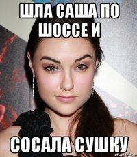 ШЛА САША ПО ШОССЕ И СОСАЛА СУШКУ