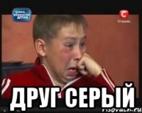  друг серый