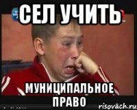 сел учить муниципальное право