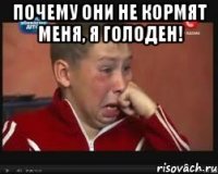 почему они не кормят меня, я голоден! 