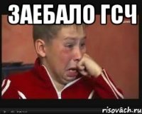 заебало гсч 