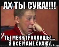 ах ты сука!!! ты меня троллишь!.... я все маме скажу