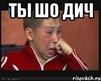 ты шо дич 