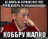 бг опять на серваке все гнет что ж делать то аааааааааааааааа коббру жалко