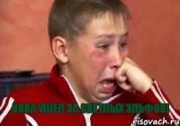  Вова ушел за светлых эльфов!