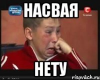 Насвая Нету