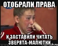отобрали права и заставили читать зверята-малютки