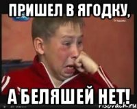 Пришел в Ягодку, а беляшей нет!